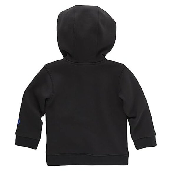 Carhartt Male Boys' Long-Sleeve Half-Zip Sweatshirt (InfantToddler) | Black | 3T - Picture 2 of 2